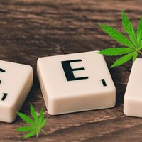 Портфолио Martha cowell